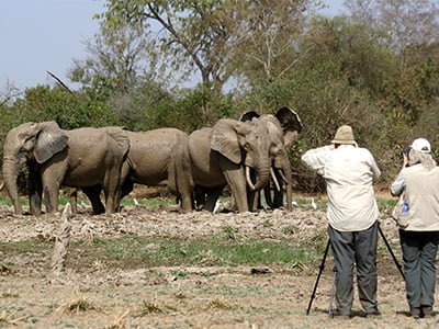 Image J Wildlife Photography Tours