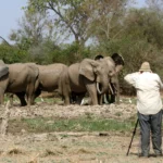 Ghana-Image - J - Wildlife Photography Tours