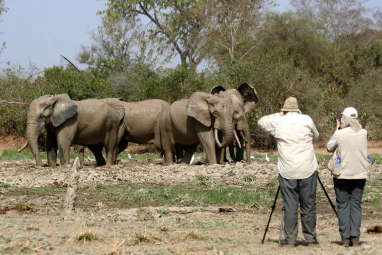 Ghana-Image - J - Wildlife Photography Tours
