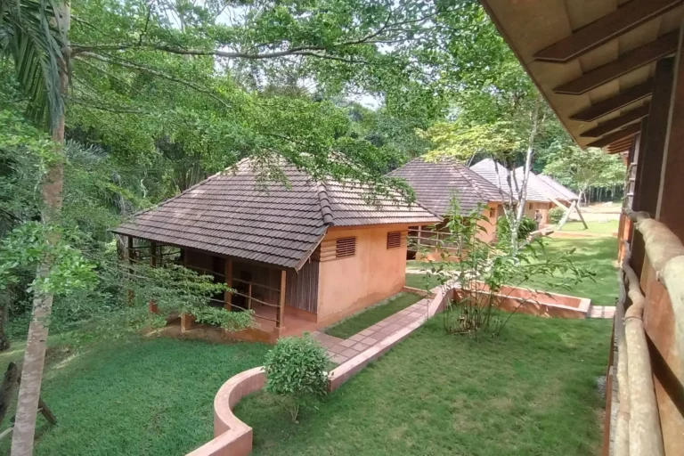 IMG_20250516_150803023_HDR