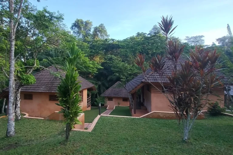 IMG_20250517_063914589