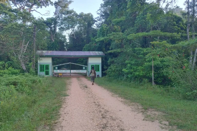 IMG_20250517_064056879_HDR