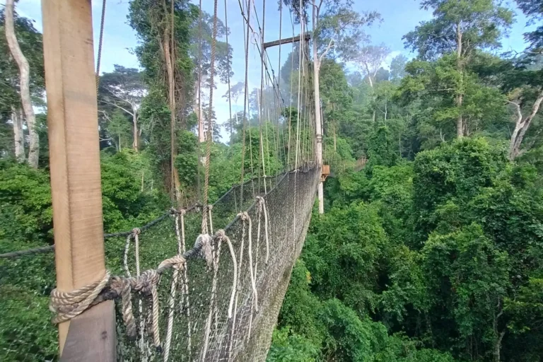 IMG_20250518_074818933_HDR