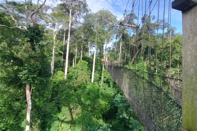 IMG_20250518_080540310_HDR