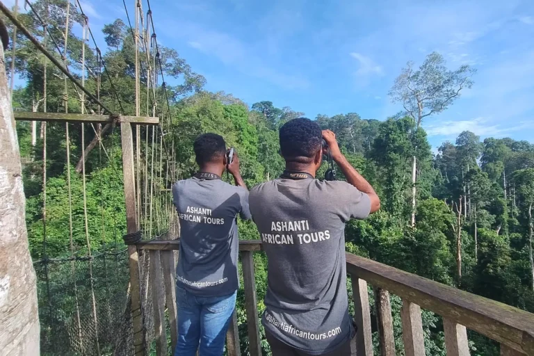 IMG_20250518_080620200