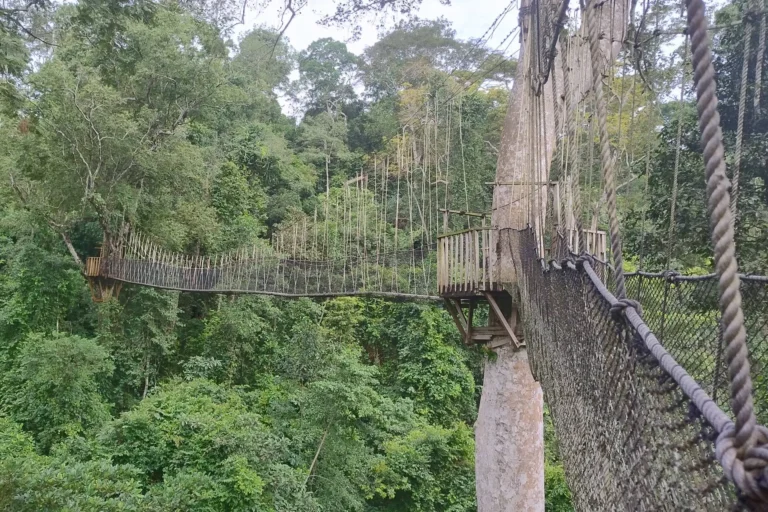 IMG_20250518_091815196_HDR