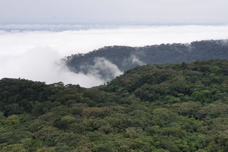 Liberia-20190608_092849