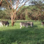 Senegal-IMG_0432