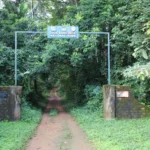 Sierra-Leone--IMG_1458