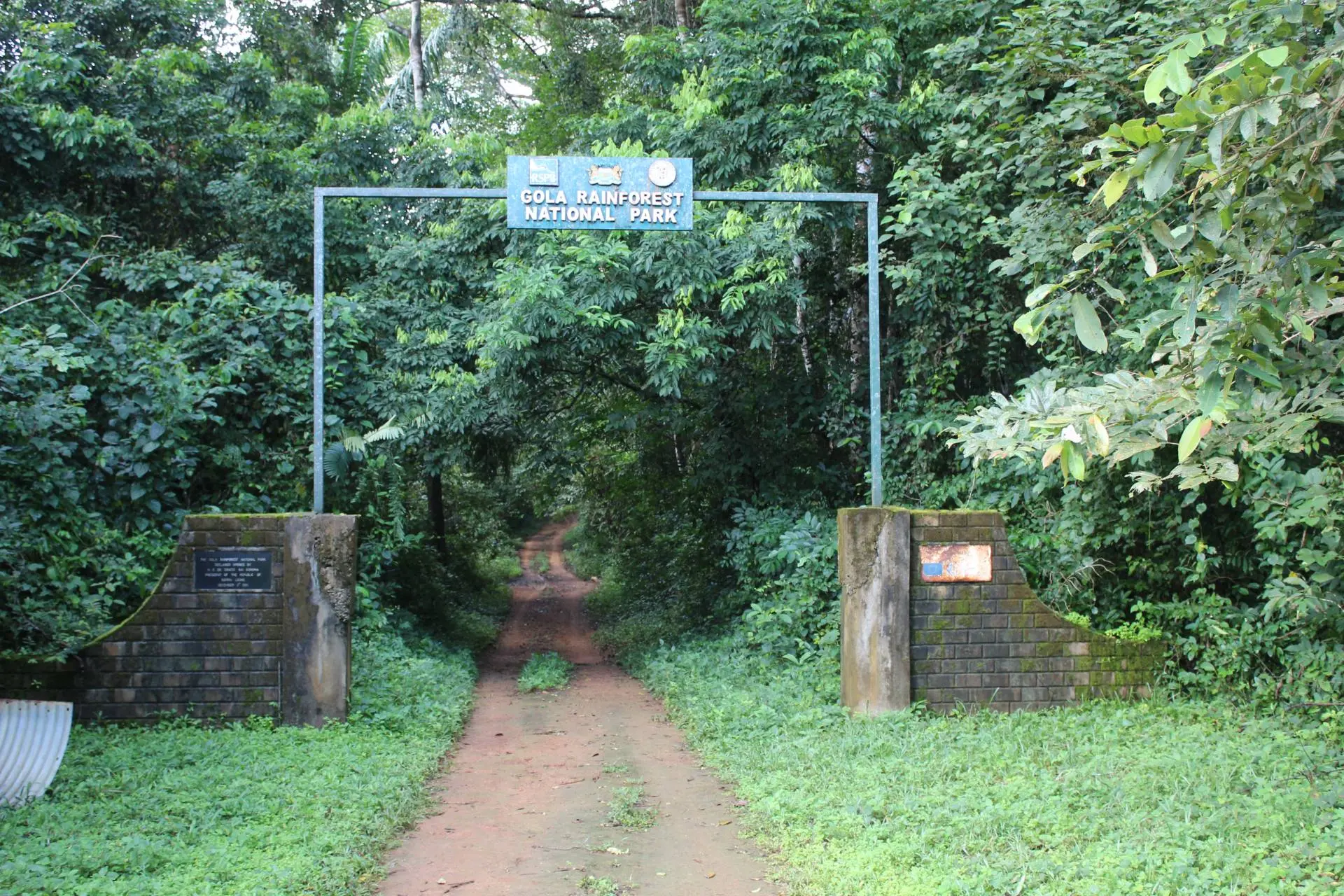 Sierra-Leone--IMG_1458