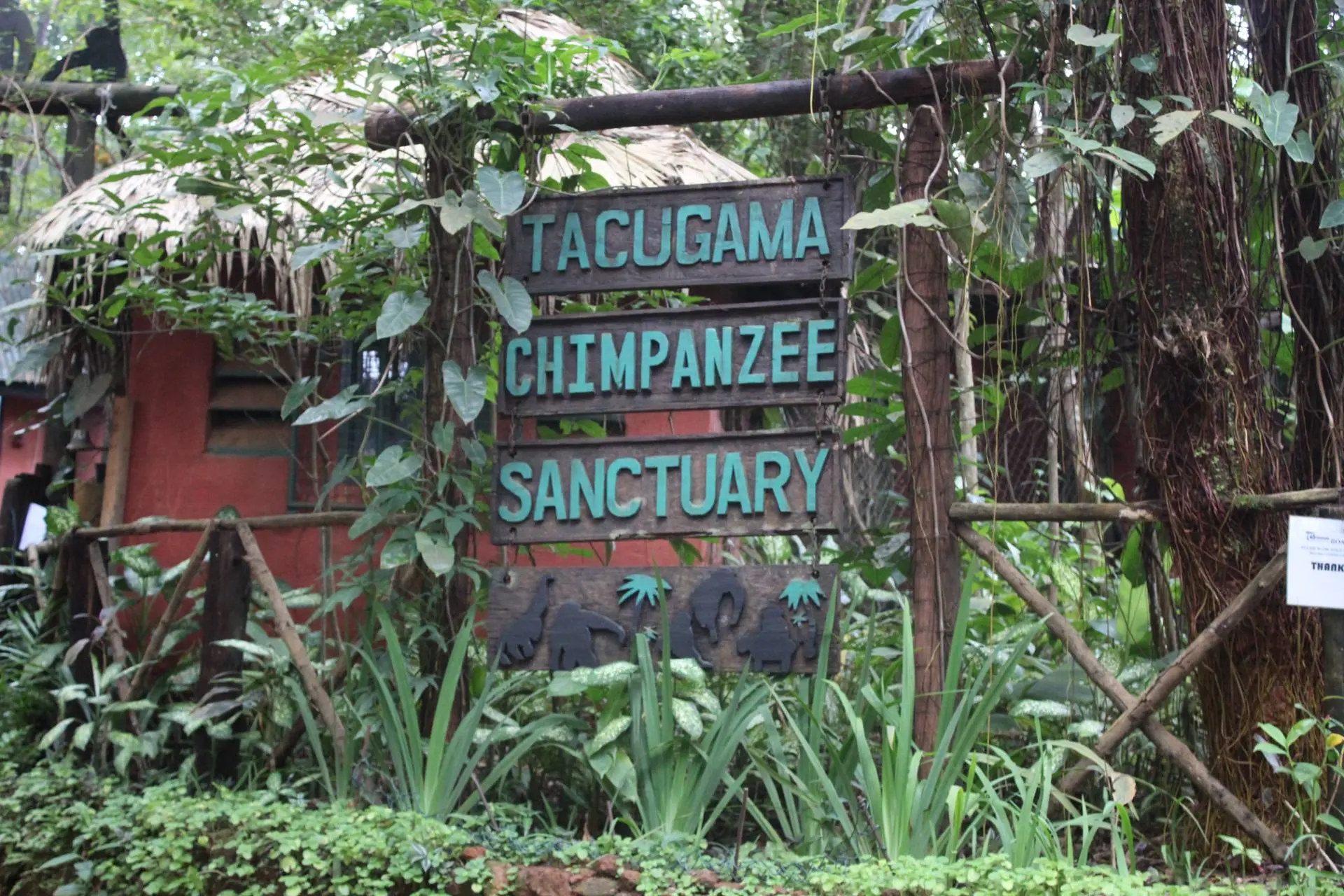 Sierra-Leone--IMG_1991